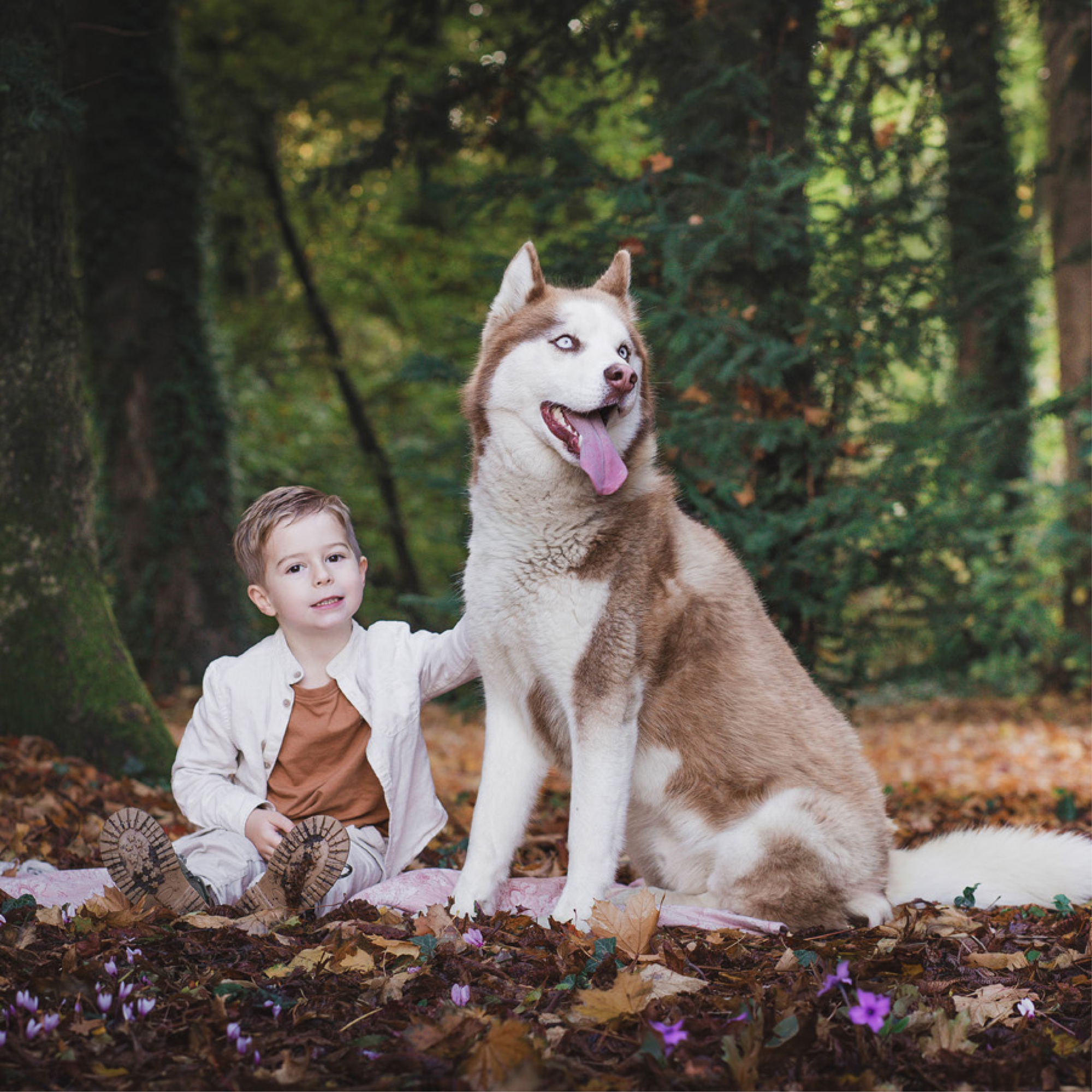 Manon Knasko éditions